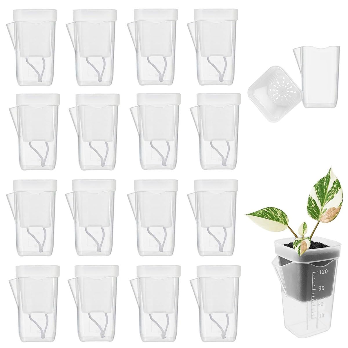 FRYSKYO 20Pcs Seedling Pots Self Watering Clear Plastic Plant Pots, With Humidity Dome And Drainage Small Plant Container, for Seedlings, Cuttings, Succulents, Herbs, Vegetables