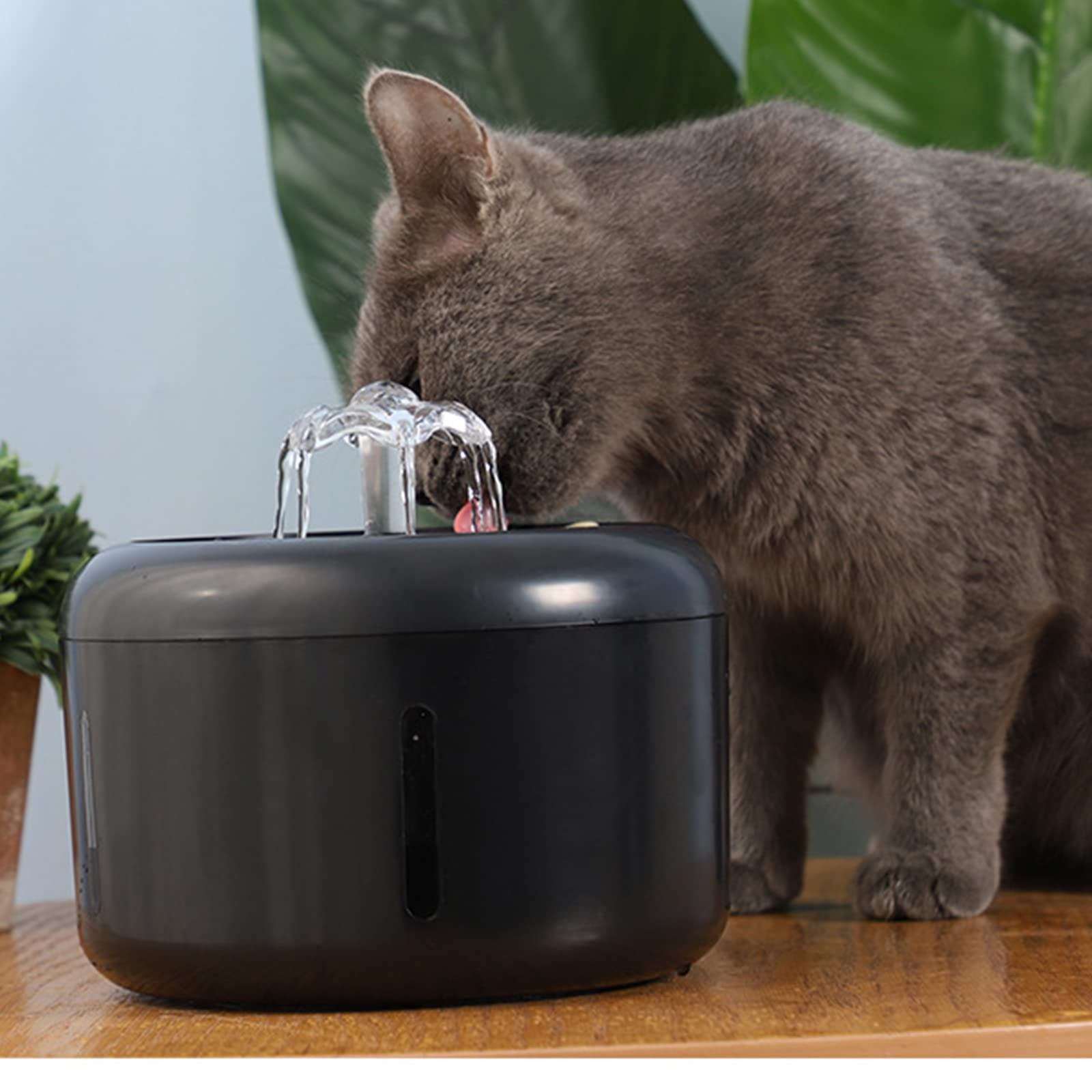 Fontana d'Acqua per Animali Domestici, 2L, Fontanella per Gatti Cani con Pompa Ultra-Silenziosa E 4 Filtri di Ricambio,Ciotole Cani, Distributore D Acqua per Gatti Dispenser Acqua Gatti,Nero