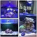 NILIPAL LED Aquarium Light - Coral Reef LED Fish Tank Light Saltwater Marine Nano Aquarium LPS SPS Lighting 18 Watts