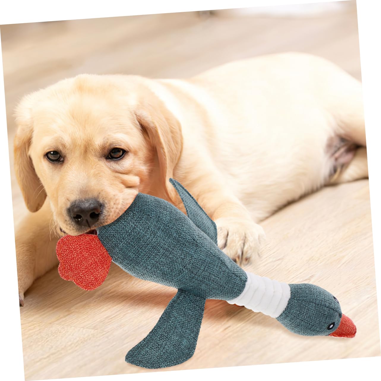 BESPORTBLE 2er-Set Hundespielzeug – Quietschendes Kauspielzeug Aus Latex Für Kleine Hunde & Welpen, Gelbes Huhn