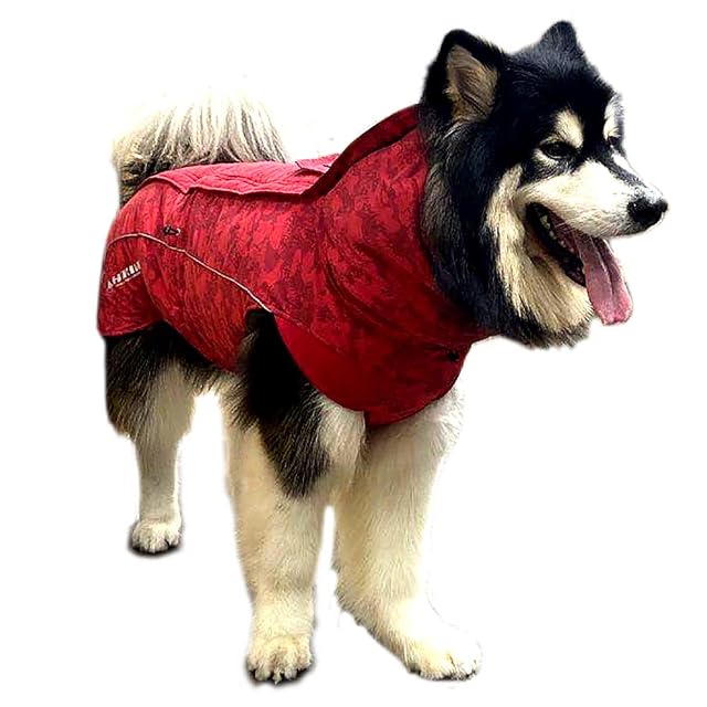 Foto 3 de 5 de Crosses Abrigo de Senderismo para Perro, Impermeable para Perro, Abrigo de Invierno Acolchado, Forro…