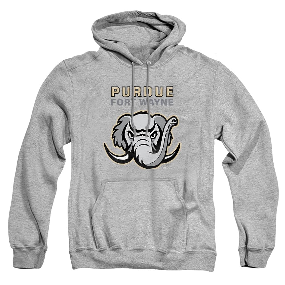 LOGOVISION Official Collegiate Distressed Primary Logo Adult Pullover Hoodie Collection — view 46