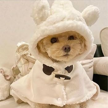 犬服 SS わんこの普段着　くまさんいっぱい SVEC（シュベック）の「くまちゃん ボーダー カットソー 犬服