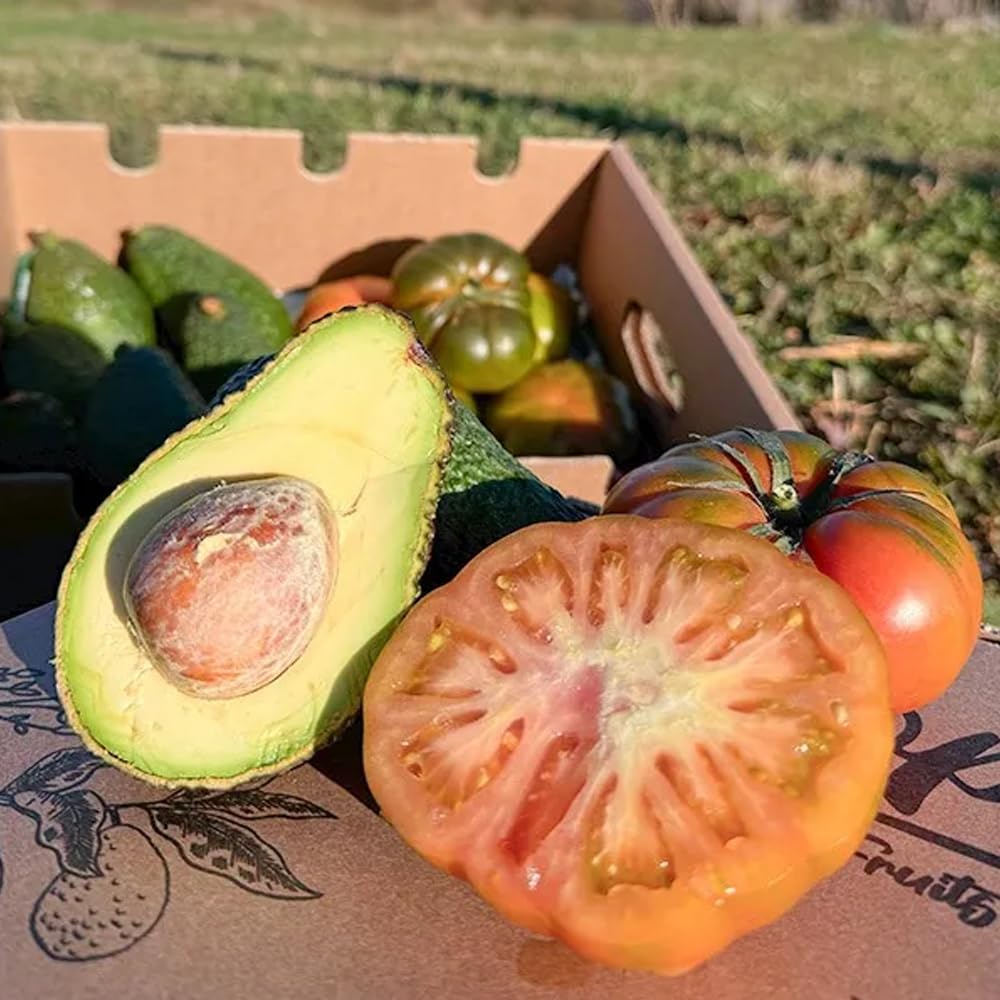 Caja de aguacates hass y tomate raf | 2 kg de Aguacates Hass y 2 kg de Tomate Raf, frescos y naturales, cultivados en Castellón (España), sin químicos y enviados directamente del campo a tu casa