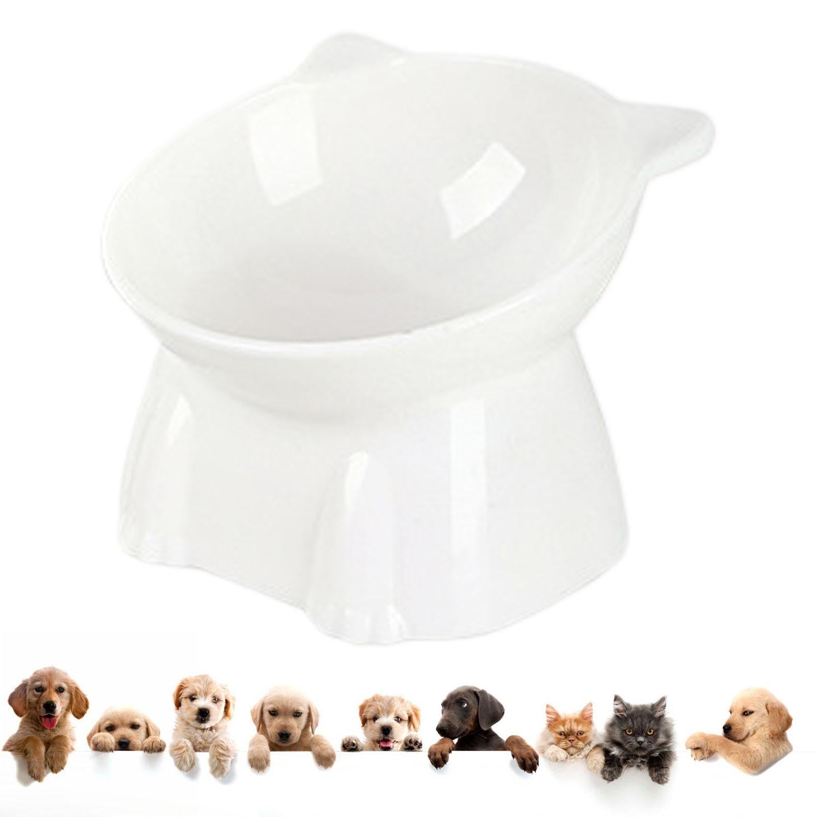 Elevated Cat Bowl,Raised Tilted Food Bowl Cat Feeding Bowls, Cat Kitten Water Bowl for Stress, Backflow Neck Fatigue Prevention