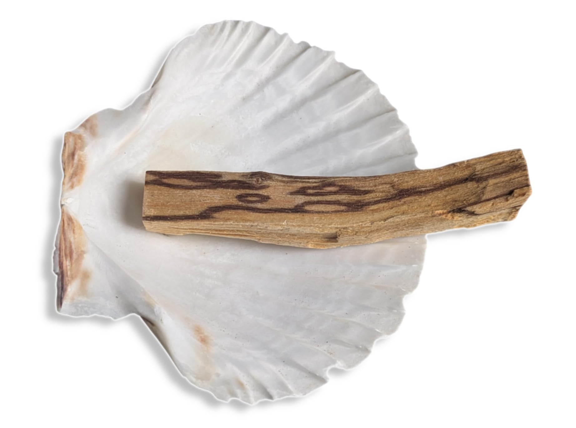 Smudge Stick Kits - Incense - Meditation - Mindfulness - Native American - Spiritual (Palo Santo and Scallop Shell)
