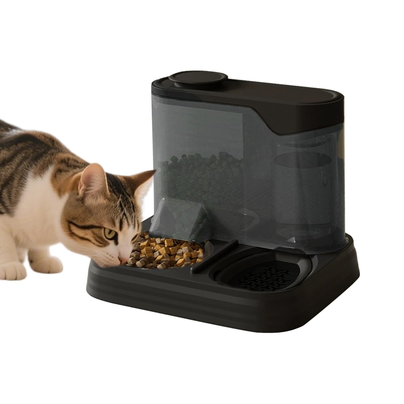 Dispensateur d'eau pour chat qui résout le manque d'hydratation des chiots