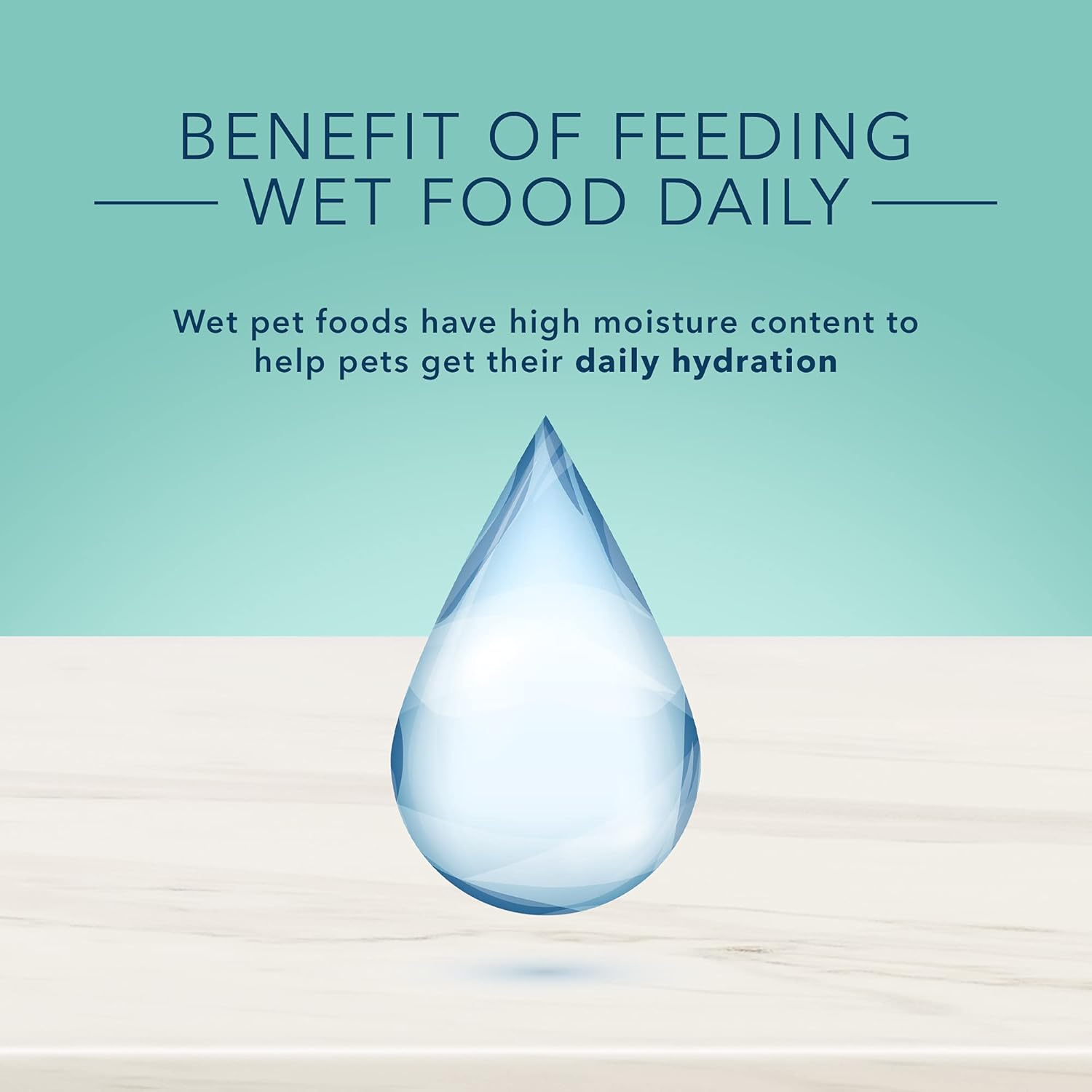 Blue Buffalo True Solutions Small & Mighty Natural Wet Food for Adult Small Breed Dogs, Chicken, 5.5-oz cans (24 Count) - Image 7