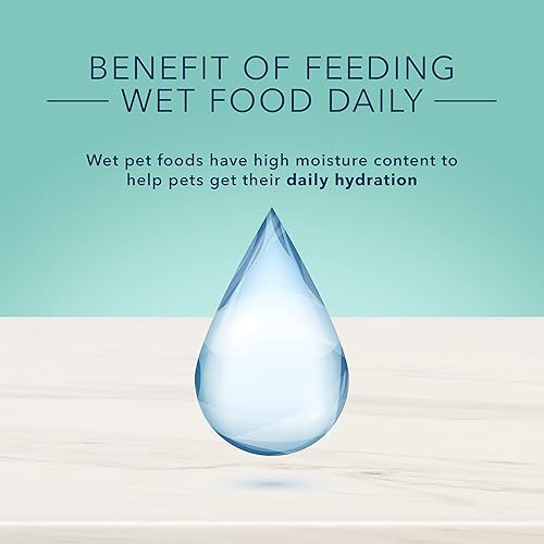 Miniatura 7 de Blue Buffalo True Solutions Small & Mighty - Alimento húmedo natural para perros adultos de raza pequeña, pollo, latas de 5.5 onzas (24 unidades)