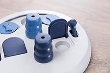 Jeux &eacute;ducatifs ludiques pour chiens et chiots