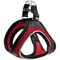 Discussione Arnes Comfort Xxs Red - Hunter