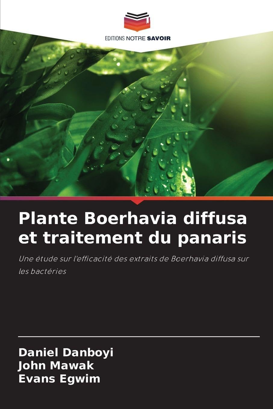 Plante Boerhavia diffusa et traitement du panaris: Une étude sur l'efficacité des extraits de Boerhavia diffusa sur les bactéries