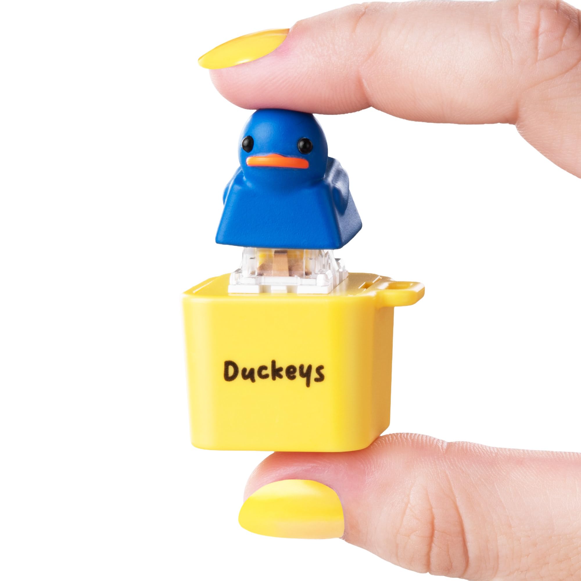 Amazon.com: Duckeys Quacking Fidget Toy with Lights (Blue