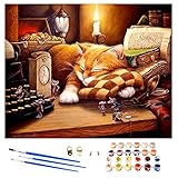 🎨 【Gran regalo】 La pintura de bricolaje terminada por números tiene un fuerte encanto artístico decorativo y único, también es un regalo ideal para su familia, amigos o colegas. Es perfecto para decorar tu hogar, salón, oficina, etc.