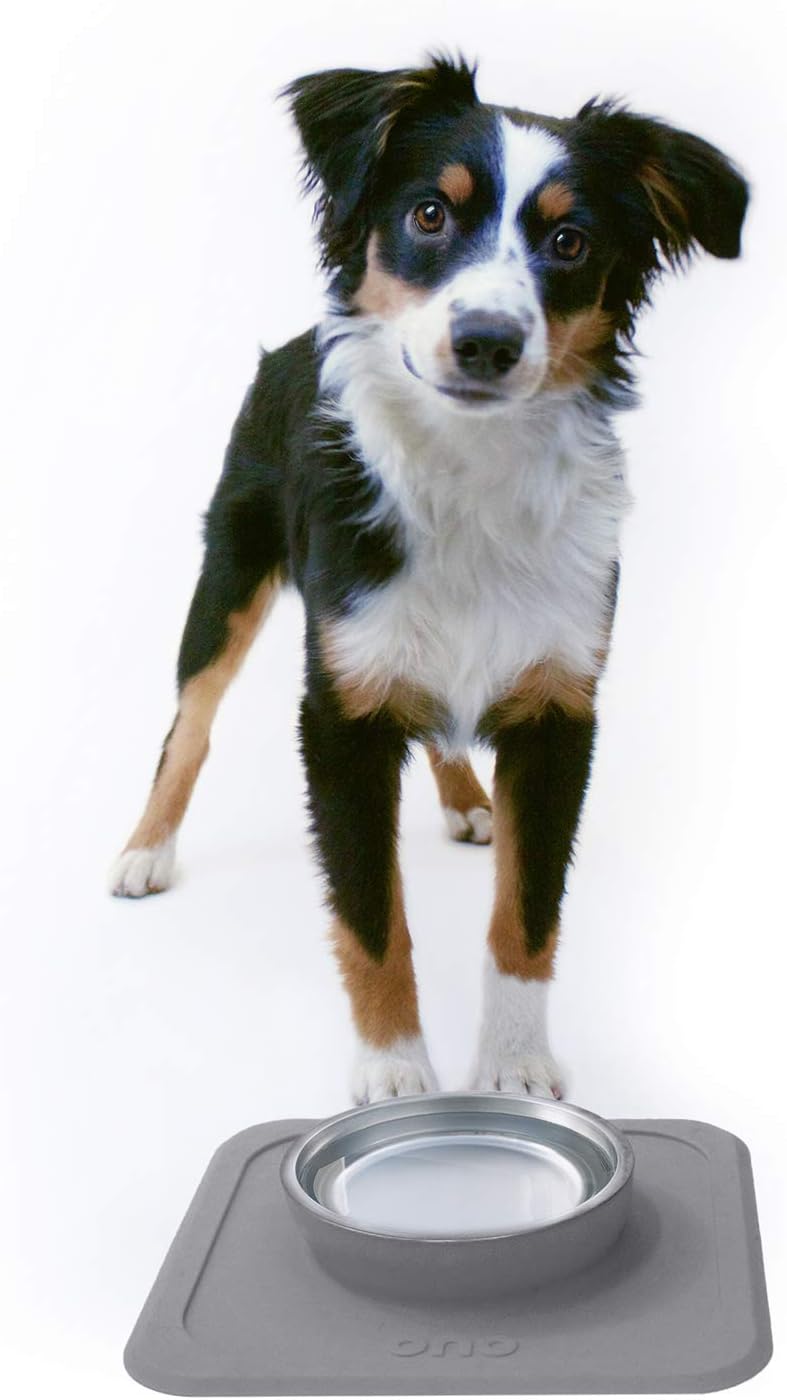 Good Bowl Food & Water Single Feeder - Small to Medium Pets No Spill Non Skid Silicone Mat & Stainless Steel Bowl for Dogs or Cats (Charcoal)