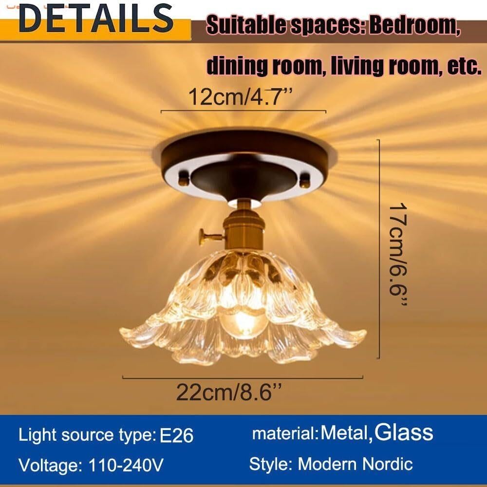 Lampada da soffitto for Ingresso con Paralume in Vetro Semplice