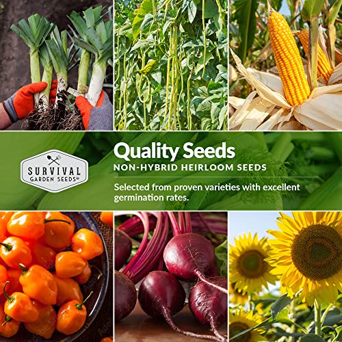 Survival Garden Seeds Homesteader Seed Vault - Vegetable Herb & Flower Seed Bank - 50 Heirloom Non-Gmo Varieties For Planting & Growing Victory Gardens - Survival Food Emergency Preparedness Gear Kit #TOP4
