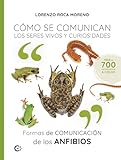 Formas de comunicación de los anfibios: Cómo se comunican los seres vivos y curiosidades