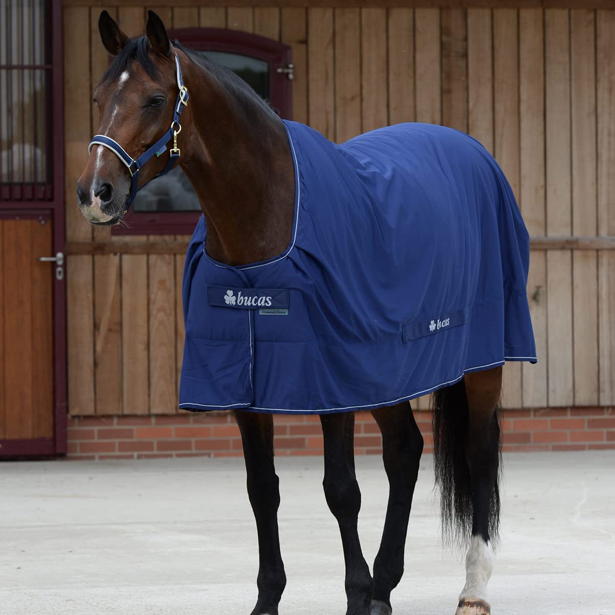 Bucas Power Cooler PONY - navy/silver - Abschwitzdecke, Groesse:120