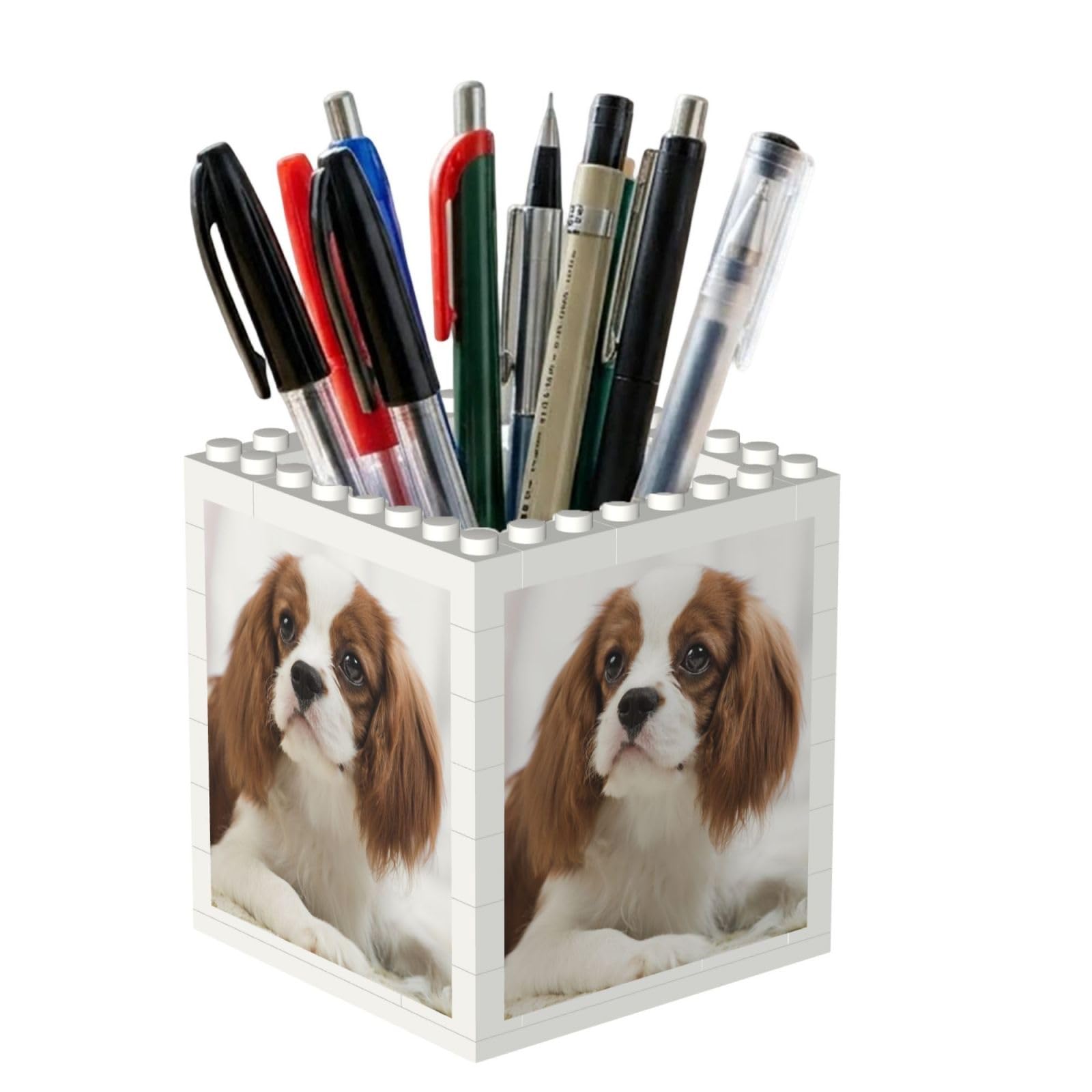 Poadnly Cavalier King Charles Spaniel Brown Spaniel, Pen Pot Pencil Holder for Office Home School, Compact Desk Organiser for Office Stationery