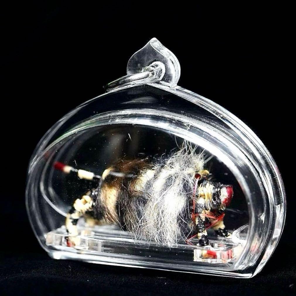 Amazon.co.jp: 首無し虎の籐人形'Hoon Payon Suasamin' 無敵