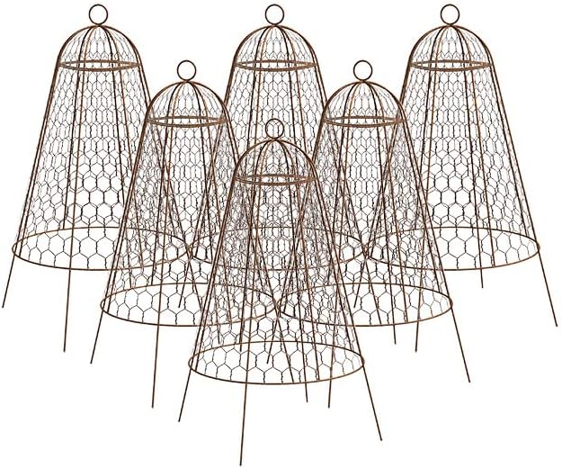 Panacea Rustic Wire Garden Cloches, Set of 6 – 20" H x 12" Dia Plant Protectors – Metal Chicken Wire Dome with 4-Leg Base – Durable Outdoor Garden Cloches for Shrubs, Flowers & Vegetables