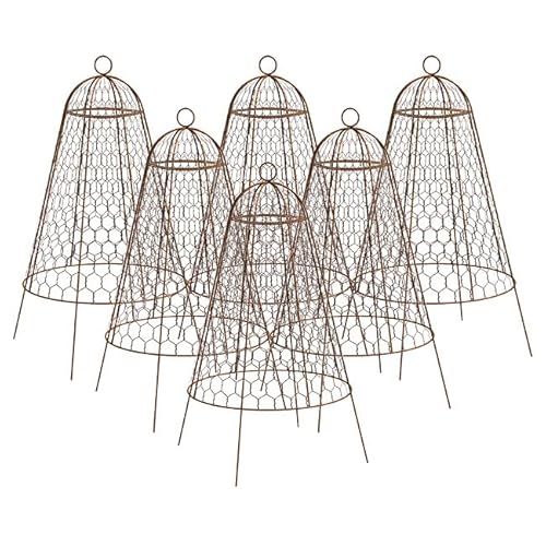 Set of Six Panacea 83280 Rustic Wire Garden Cloches, 20