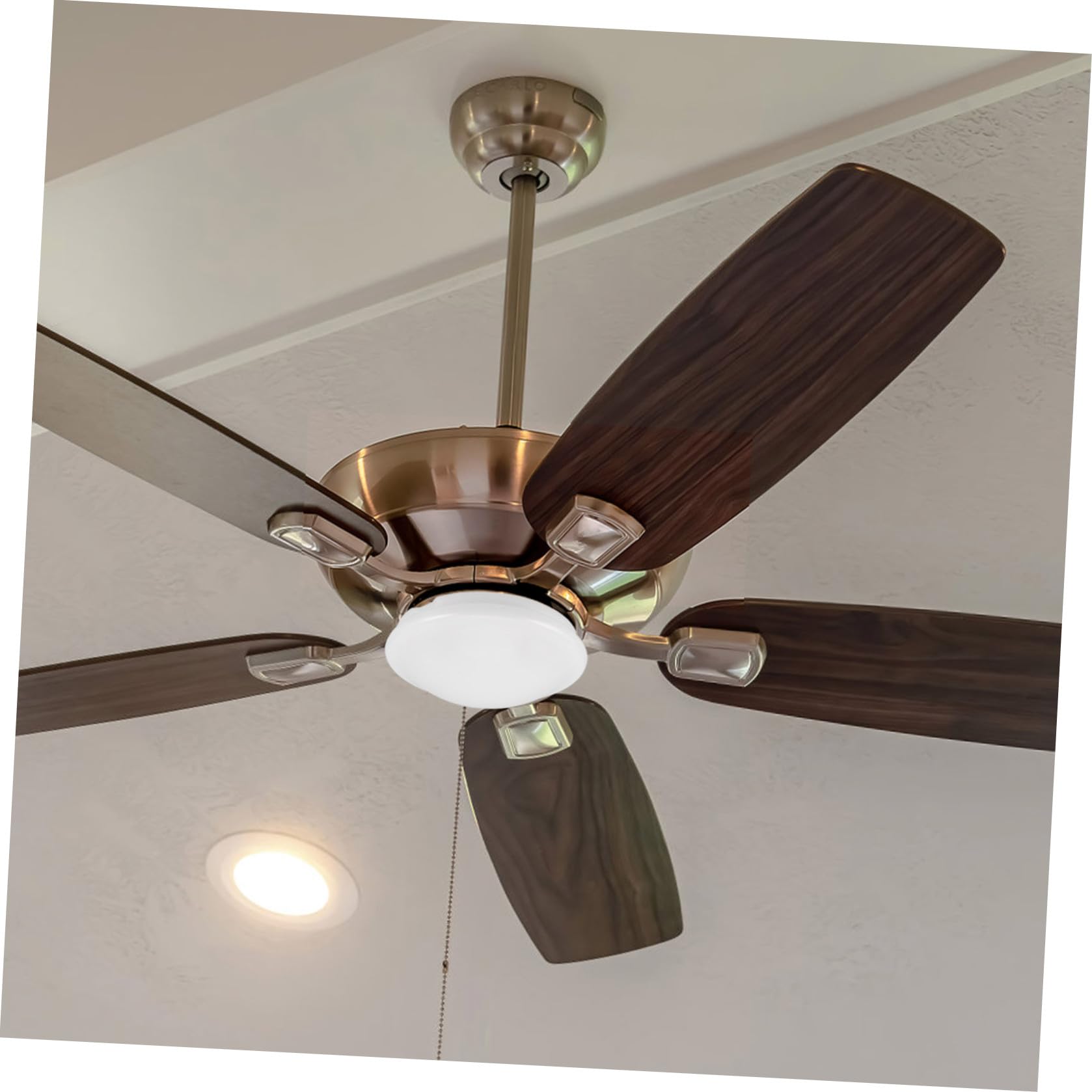 Cubierta de Repuesto para Ventilador de Techo, Pantalla Acrílica Transparente de 19 Cm de Diámetro y 1.5 Cm de Altura, Tulipa para Lámpara de Ventilador en Dormitorio, Sala