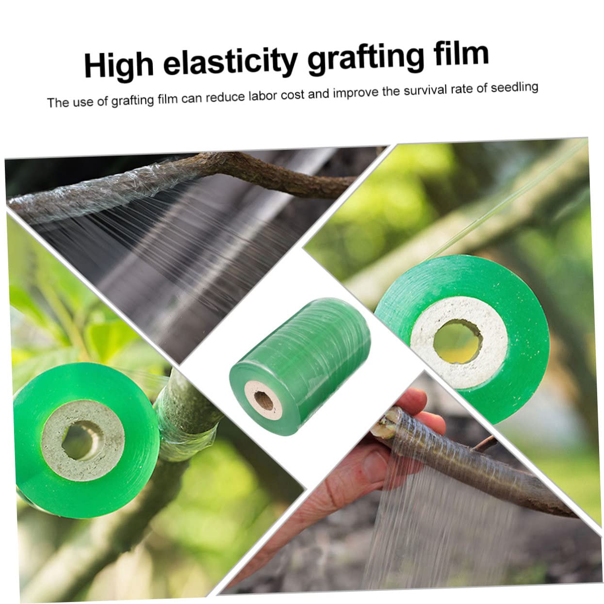 4 Rollen Breites Selbstklebendes PVC veredelungsband für Obstbäume Dehnbar Flexibles Floristenfilm für Pfropfung von Pekannüssen Walnüssen Zitrus Steinobstbäumen Grün Transparent