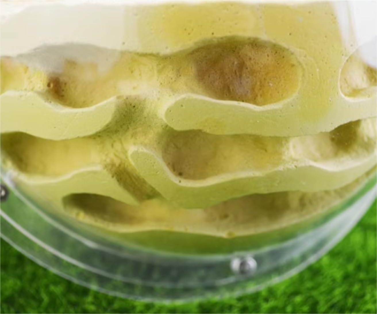 Farma Mrówek Terrarium Dla Owadów Na Farmie Mrówek, Półokrągłe Wiszące Gniazdo Odpowiednie Do Narzędzi Edukacji Naukowej Gniazdo Mrówki(Yellow)