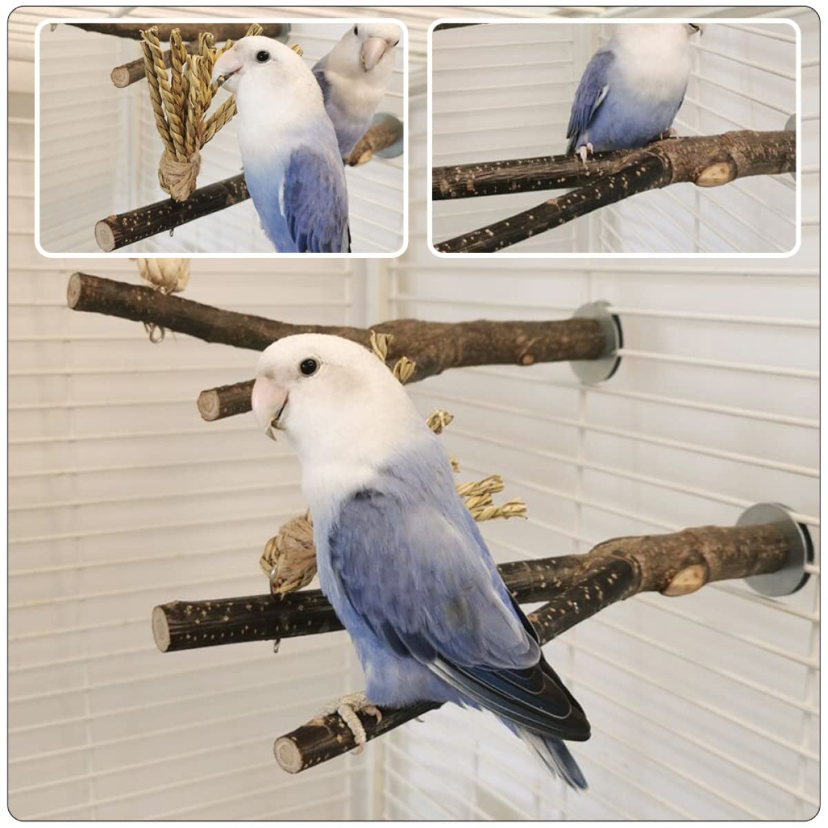 minkissy 5stücke Vogelspielzeug Aus Naturholz Kauspielzeug Für Papageien Und Wellensittiche Mit Natürlichem Astdesign Robust Und - Für Vogelkäfig Zubehör Fördert Spiel Und