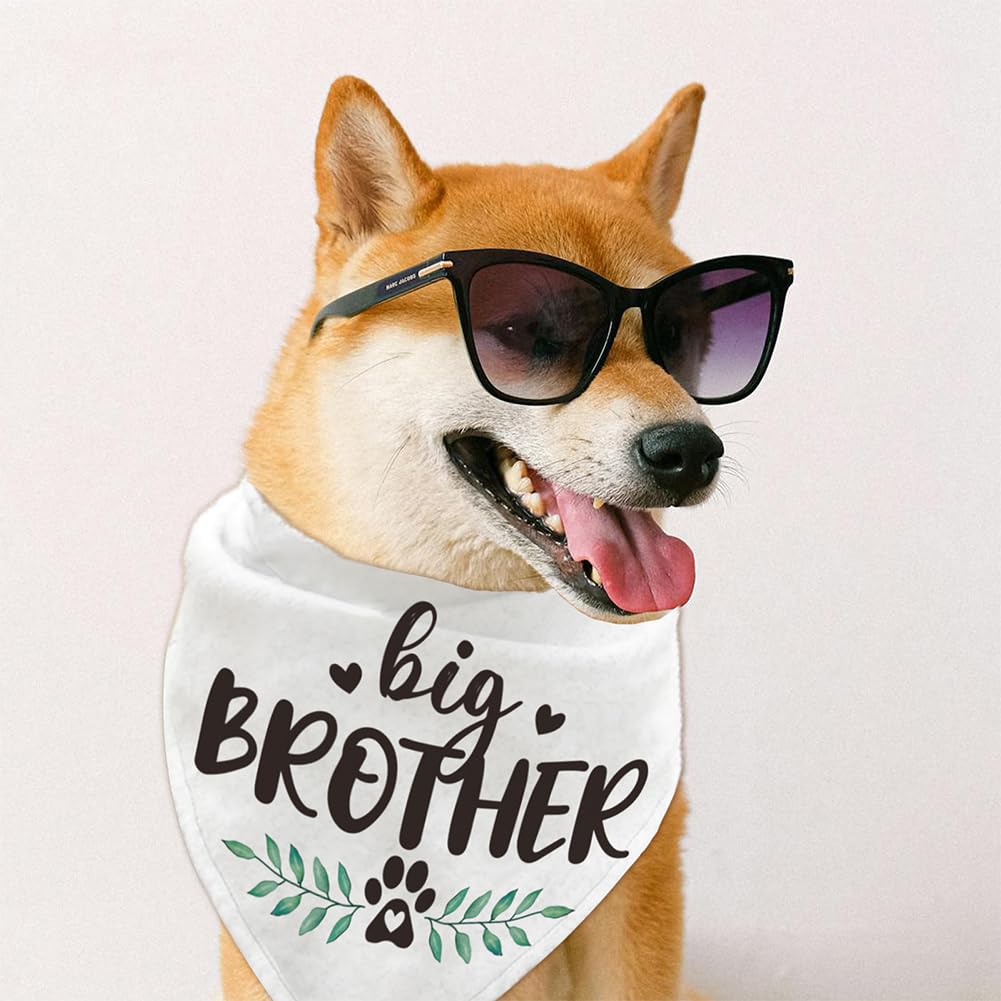 arricraft 1 bandana triangolare per animali domestici, in cotone, con scritta "Big Brother", lavabile, per cuccioli e gatti, bavaglini, accessori