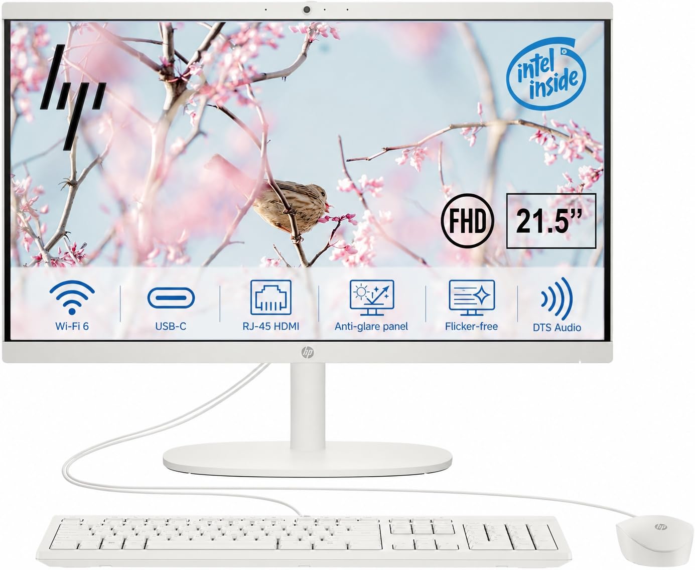 Amazon.com: HP 22