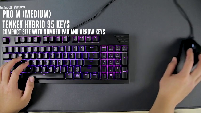 61G9HKPVnIL.jpg
