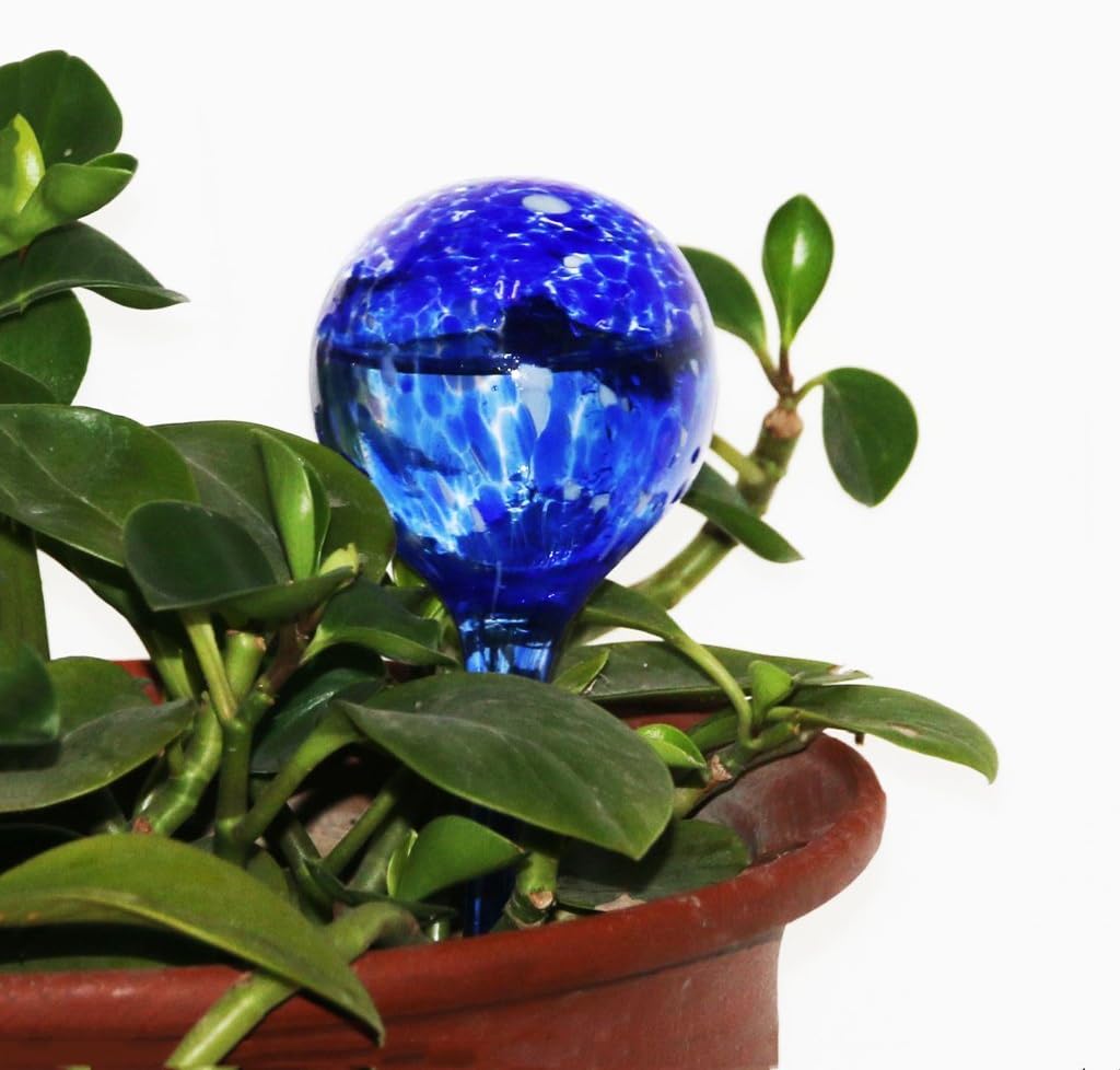 2pcs Glass Automatic Watering Globes Plants Flowers Irrigation Ball Tool (Large) : Patio, Lawn & Garden