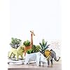 Product Photo 5