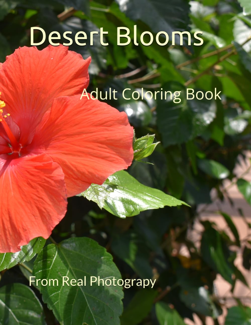 Desert Blooms Adult Coloring Book from Real Photography: DESERT BLOOMS Adult Coloring Book From Real Photography