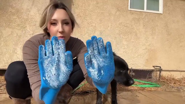 6PCS Pet Grooming Kit for Dogs,Cats and Horses | Dog Washing Gloves | Dog Bath Brush | Dog Bath Gloves | Dog Shampoo Brush | Pet Grooming Gloves | Dog Bath Supplies (Navy Blue) - image 8