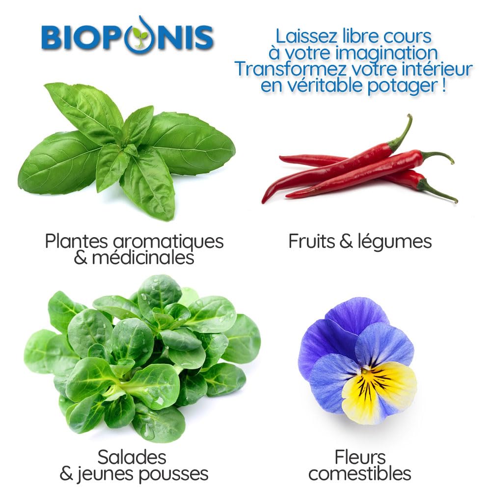 Eden Blanc - Orto da Interno Idroponica per Piante Aromatiche - 5 Piazzole di Coltivazione