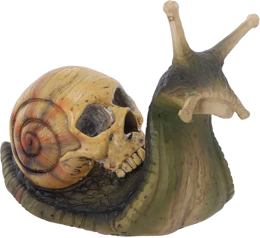 Amazon.co.jp: 透明標本 カタツムリのの彫刻、ゴ装飾、カタツムリの像 Amazon.co.jp: 透明標本 カタツムリのの彫刻、ゴ装飾、カタツムリの像