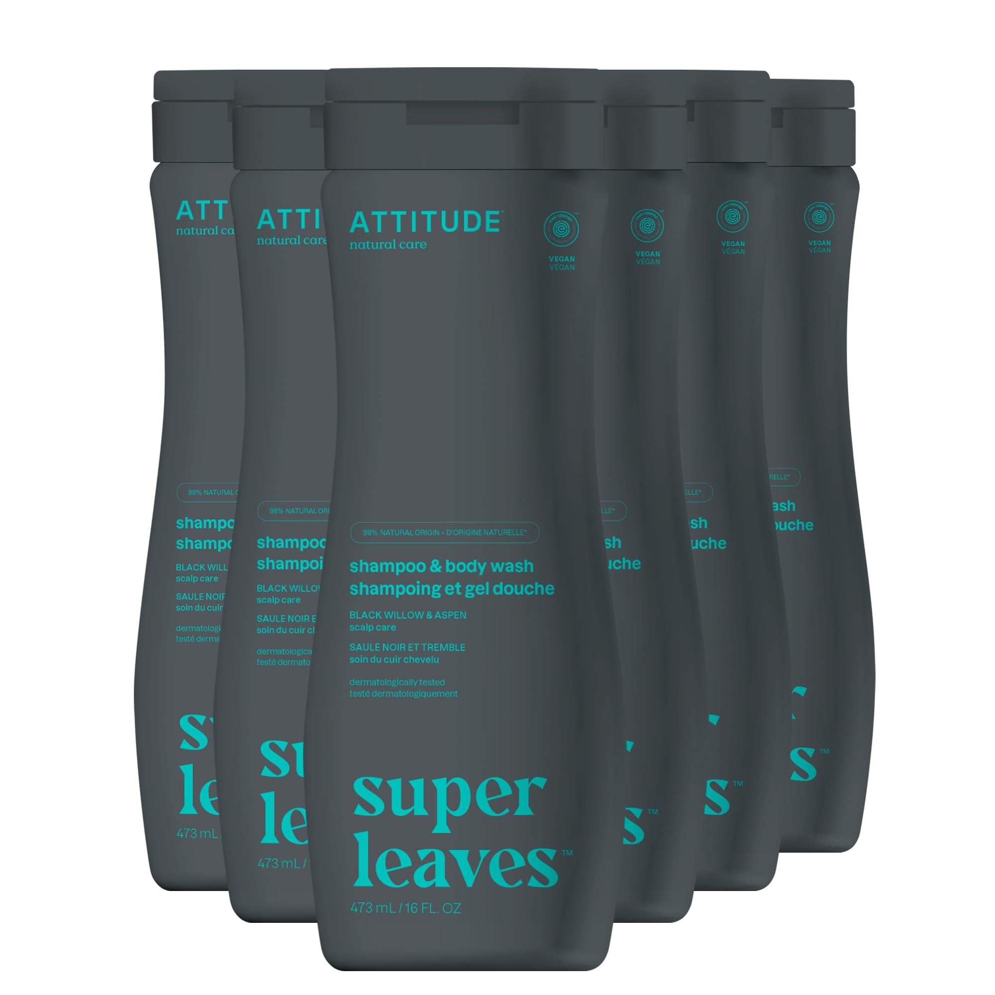 2in1 Shampoo and Body Wash, EWG Verified, Plant and Mineral-Based, Vegan Personal Care Products, Black Willow and Aspen, 16 Fl Oz (Pack of 6)