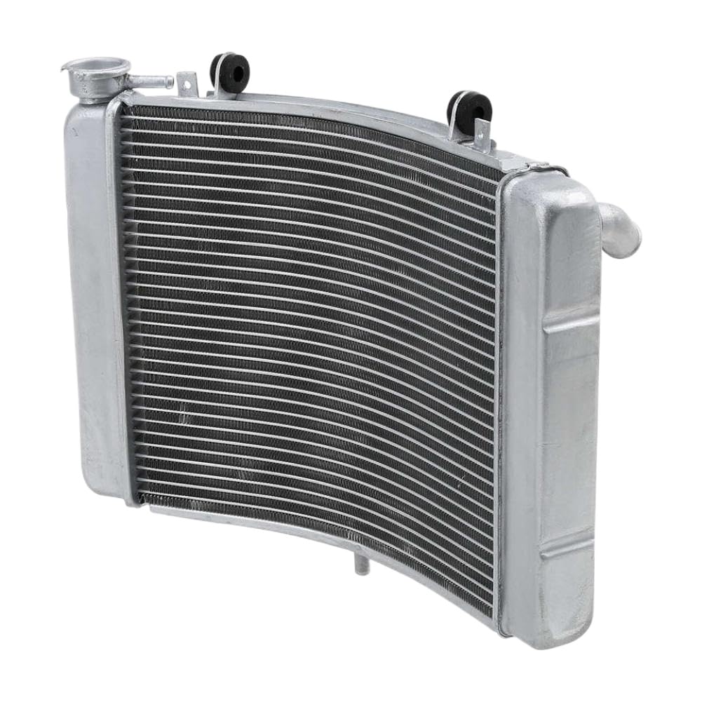 Radiatore di raffreddamento del motore in alluminio compatibile con NSR 250 1991 1992 1993 1994 1995 1996 1997 1998