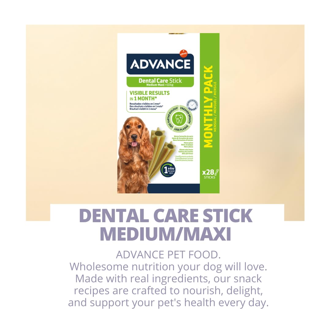ADVANCE PERRO DENTAL CARE STICK MEDIUM/MAXI | Snack complementario, ayuda a cuidar los dientes de tu perro, 1 paquete de 720 gramos.
