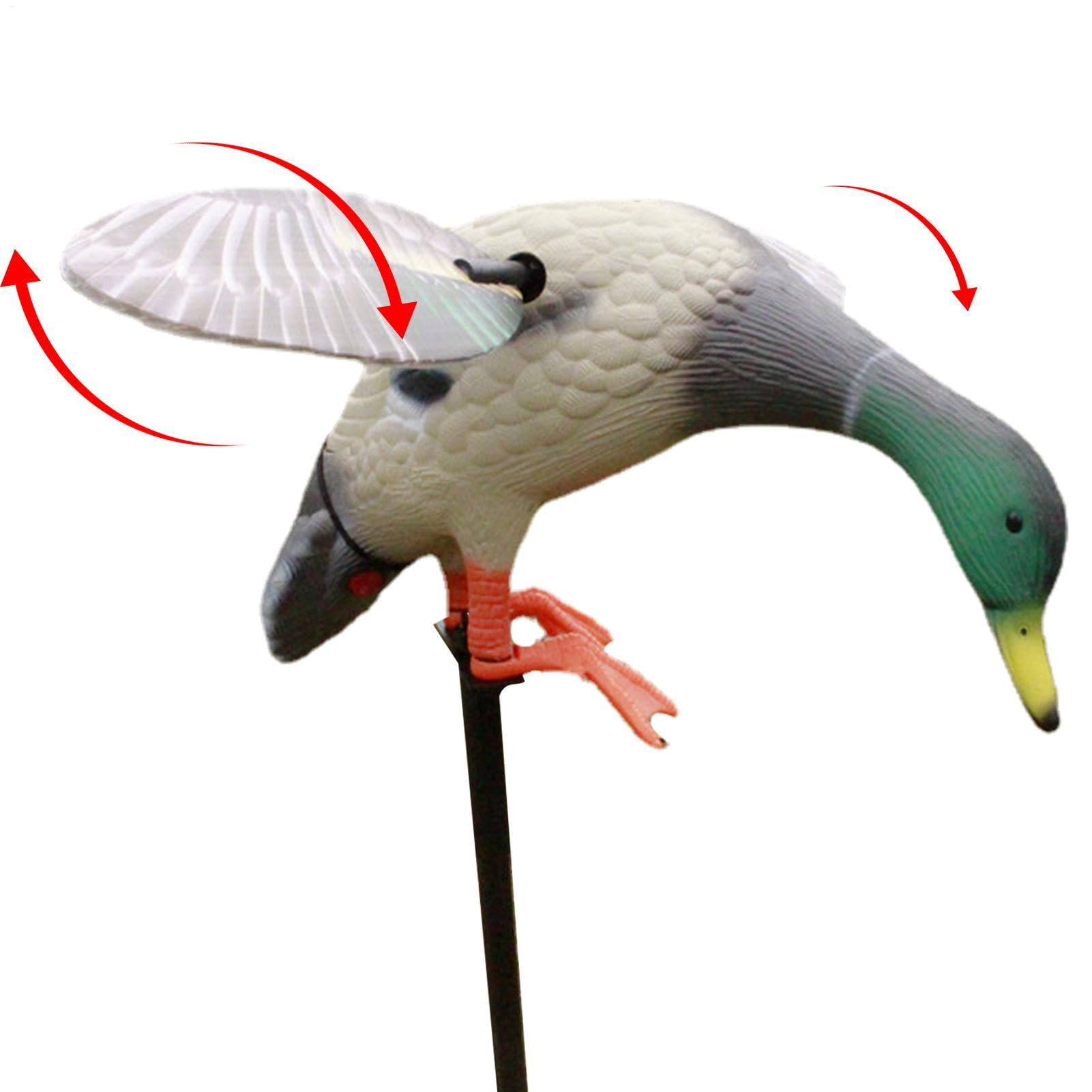 Genérico Señuelos De Caza De Patos - 6V Mallard Ducks Doy | Señuelo | Giratorio, Señuelos Realistas Con Control Remoto, Señuelos De Movimiento Ajustable, Señuelos De Caza Flotante