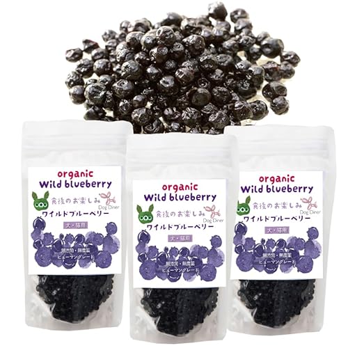 ELp Chu[x[ 100g×3(300g) ybgTvg ڂ̌N AgVAj eC |tFm[ LxȂEp Lp  VjA hbO_Ci[