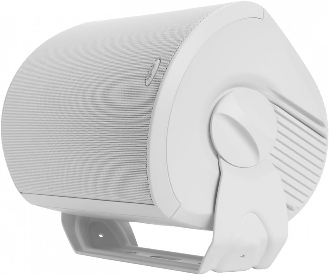 Polk Audio Atrium 8 SDI Flagship Outdoor All-Weather Speaker (Black) - Use as Single Unit or Stereo Pair | Powerful Bass & Broad Sound Coverage : Electronics
