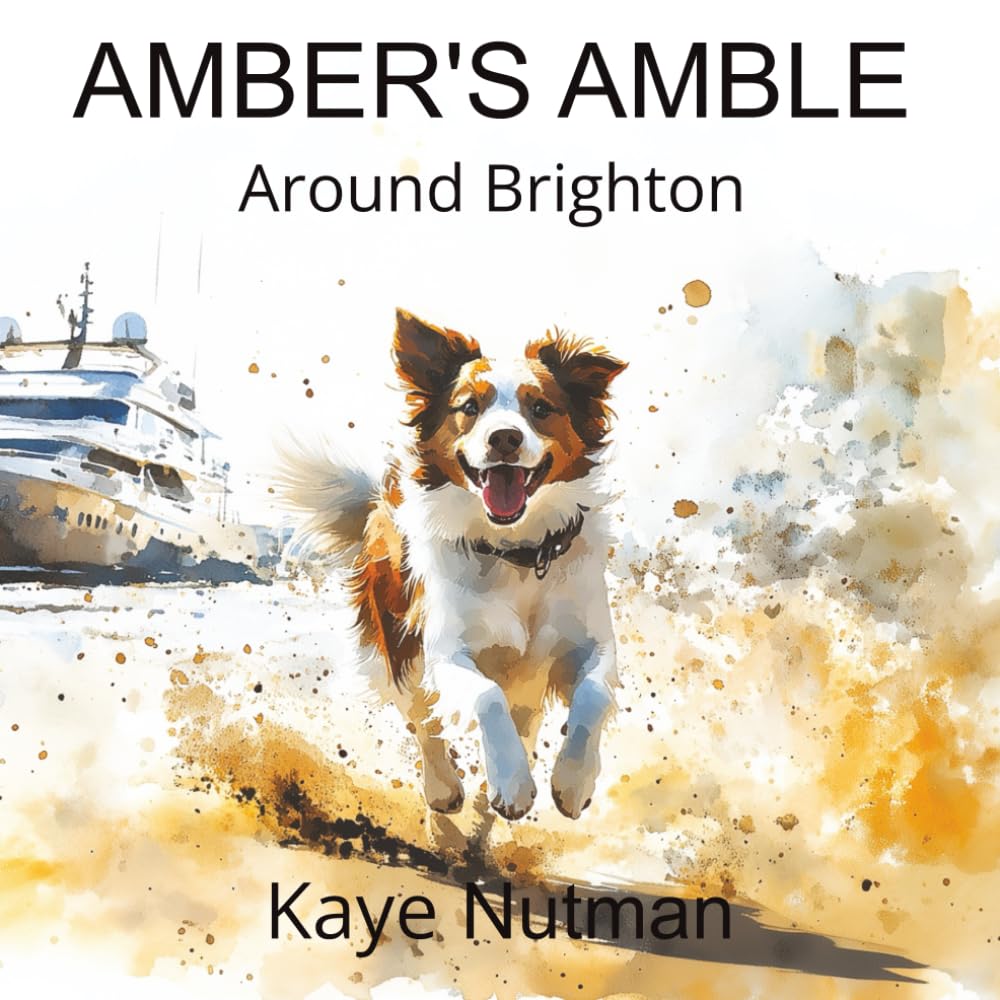 Amber's Amble Around Brighton