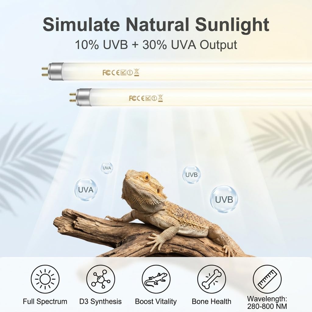 View 2