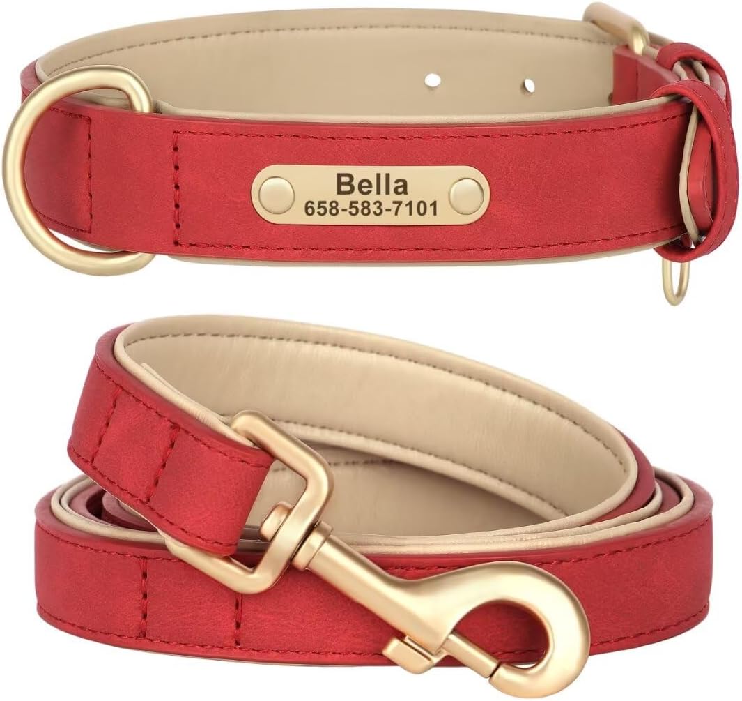 KINYABLUE Personalized Leather Dog Collar and Leash Set
