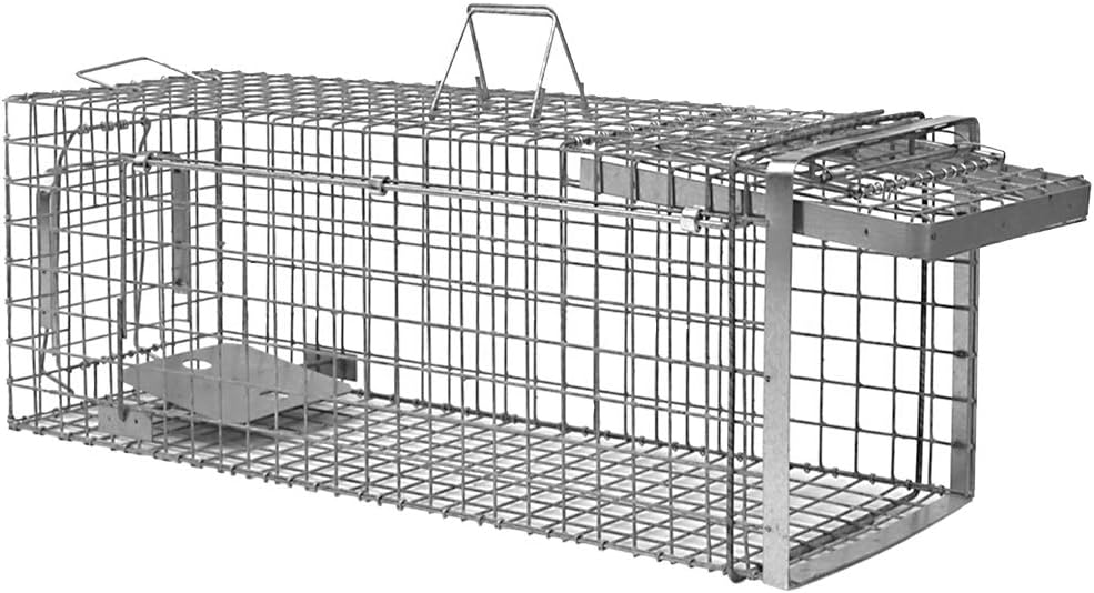 Trappole per procioni